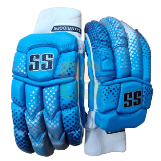 SS DK-19 Players Blue Cricket Batting gloves Men's