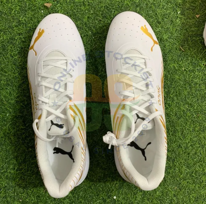 Puma gold cricket sales shoes